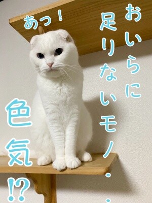 殿1011