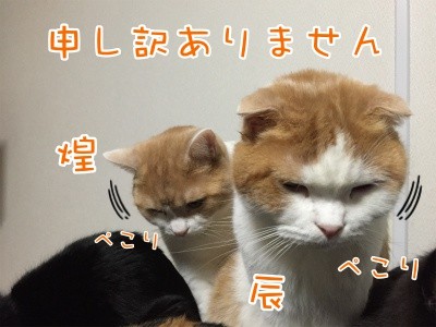 みんな98