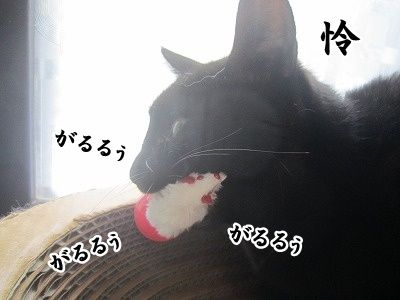 怜 (2)