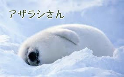 殿31