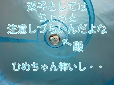 殿776