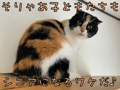 そよ54