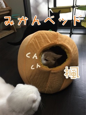 みんな712