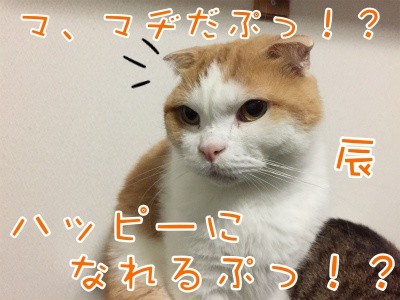 辰185