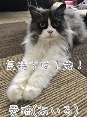 るひあ56