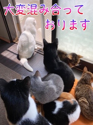 みんな2608