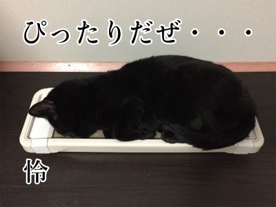 怜7