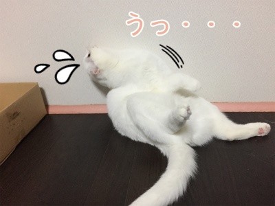 ひめ44