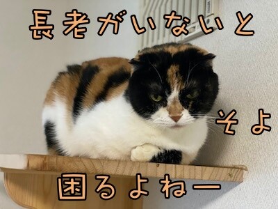そよ7