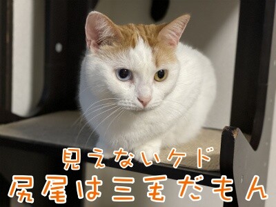 りよ184