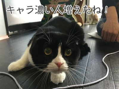 澪19