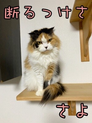 さよ111