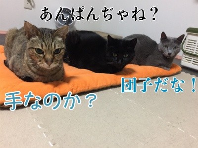 みんな1227