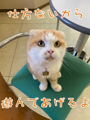珠若855