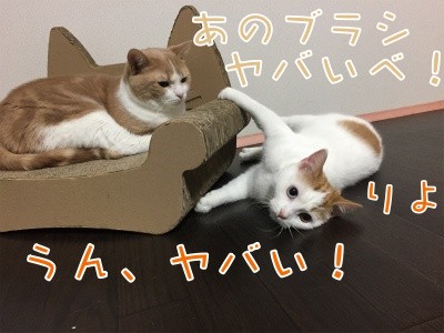 みんな788
