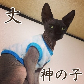 みんな1308