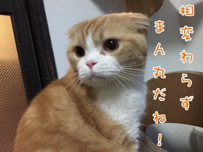 陽25