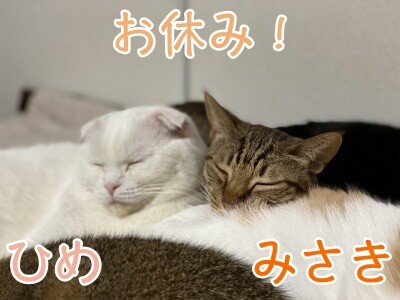 みんな1510