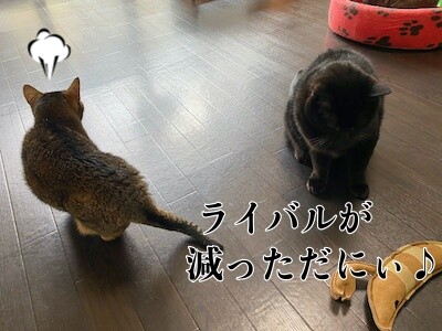 みんな15