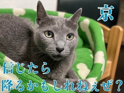 京610