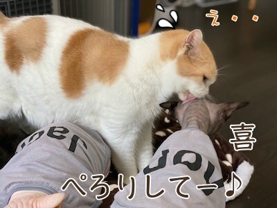 みんな1031