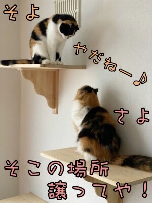 みんな2489