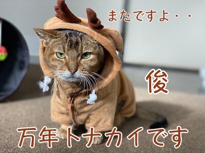 俊5