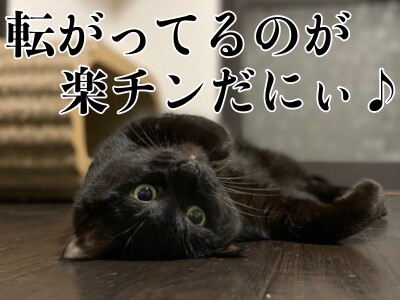夢130