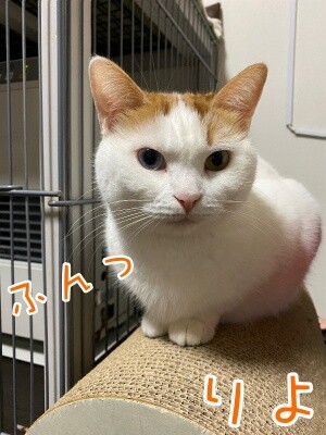 りよ276