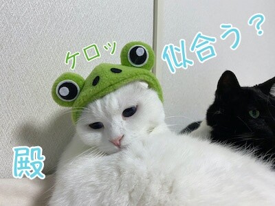 殿27