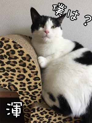 渾99