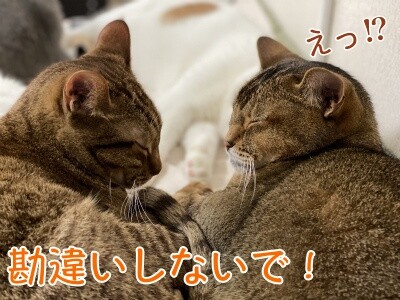 みんな1747