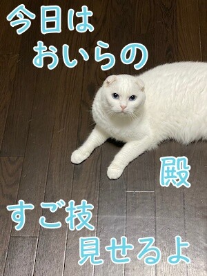 殿108