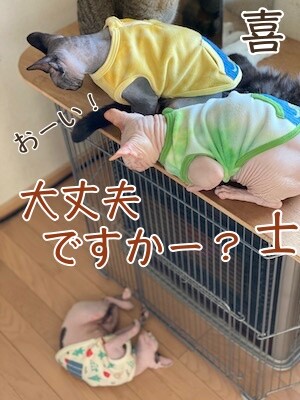 みんな2881