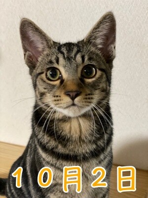 魚卵73