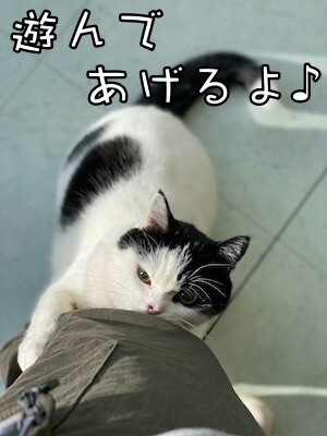 珠若139