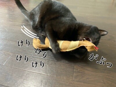 夢1
