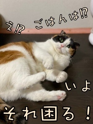 いよ426