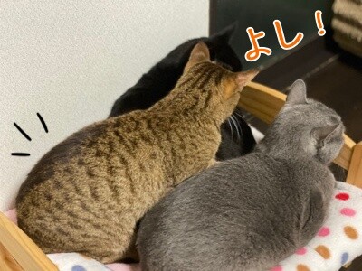みんな2200