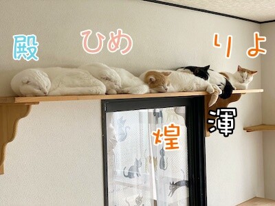 みんな1035