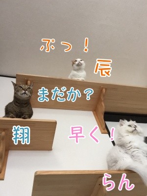 みんな657