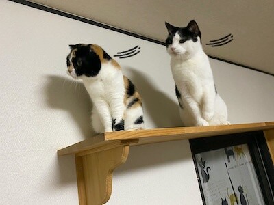 みんな27