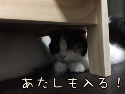 いよ220