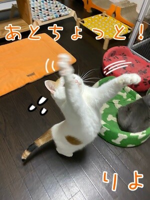 りよ318