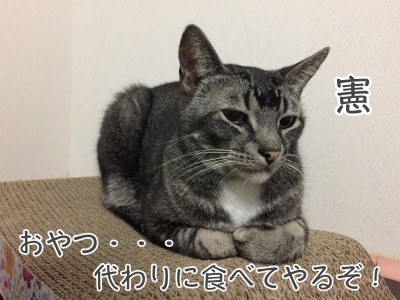 憲144