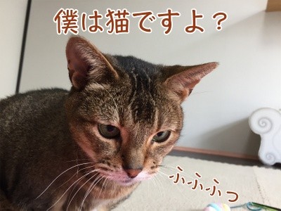 俊248