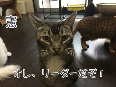 憲98