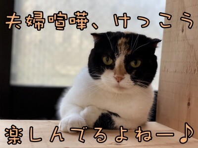 そよ165