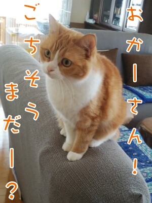ココナッツ160