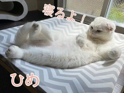 ひめ93